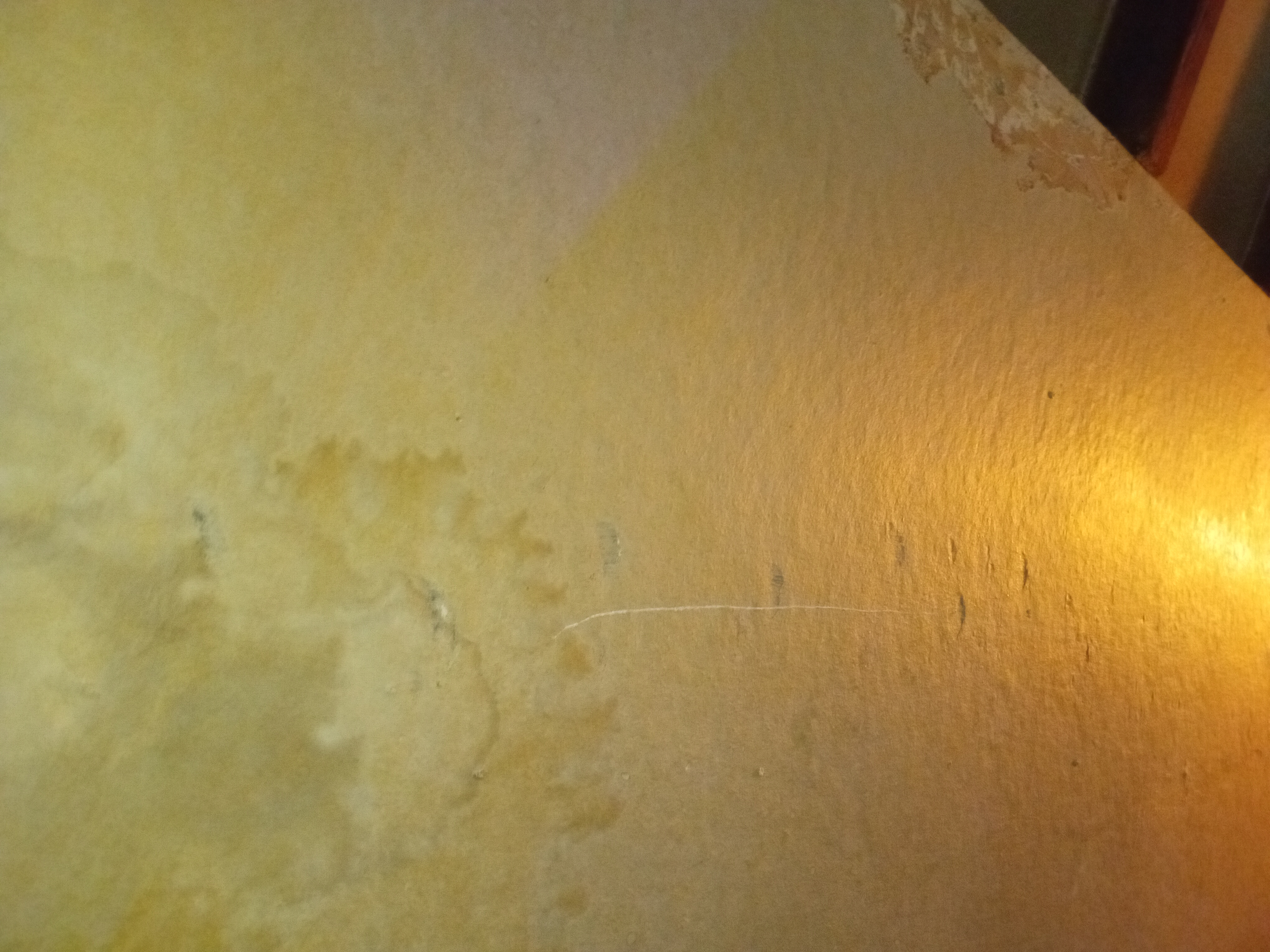 20250620_072839.jpg
